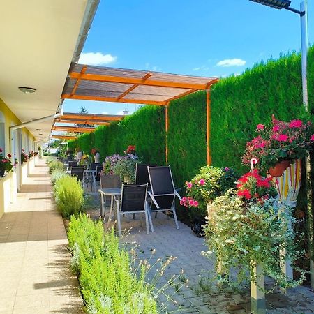 Cozy Room With Garden In Μπρατισλάβα Εξωτερικό φωτογραφία